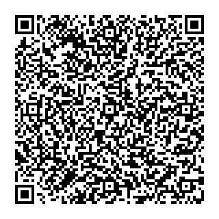 vCard 74951335929