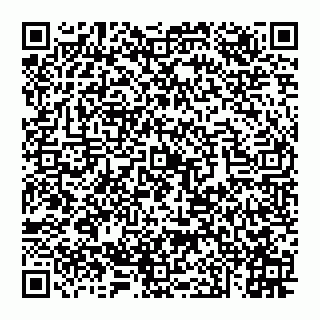 vCard 74951337931
