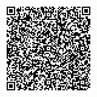 vCard 74951338368