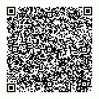 vCard 74951338403