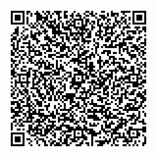 vCard 74951338740