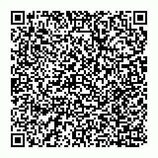 vCard 74951339213