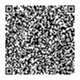 vCard 74951339263