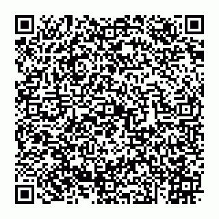 vCard 74951339501