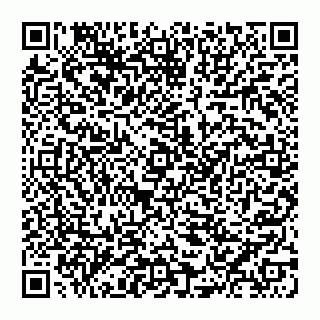 vCard 74951339507