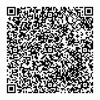 vCard 74951339537