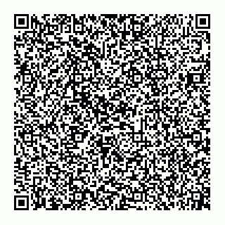 vCard 74951340044