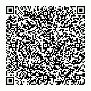 vCard 74951340051