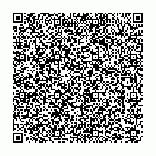 vCard 74951340085