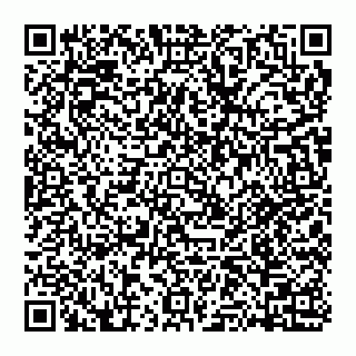 vCard 74951340153