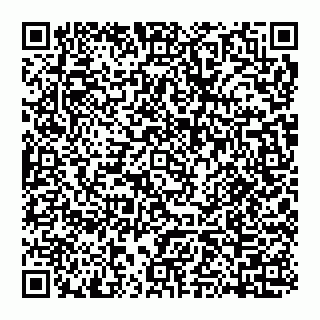 vCard 74951340208