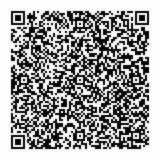 vCard 74951340221