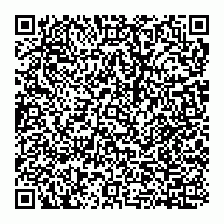 vCard 74951340233