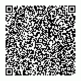 vCard 74951340253