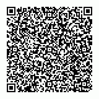vCard 74951340335