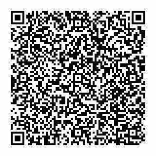 vCard 74951340339