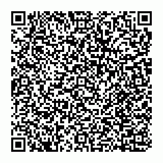 vCard 74951340371