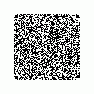 vCard 74951340373