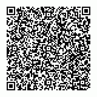 vCard 74951340382