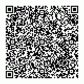 vCard 74951340385