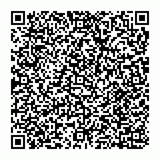 vCard 74951370331