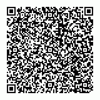 vCard 74951399305