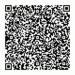 vCard 74951401508