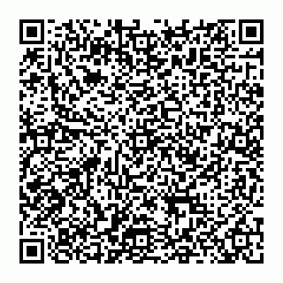 vCard 74951401509