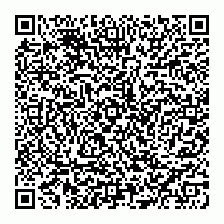 vCard 74951401529
