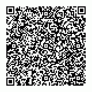vCard 74951401531