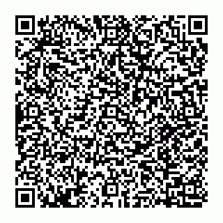 vCard 74951401533