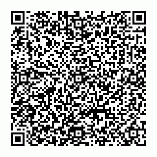 vCard 74951401534