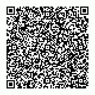 vCard 74951401537