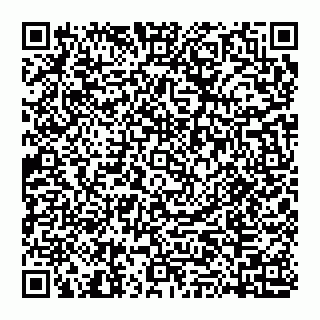 vCard 74951401579