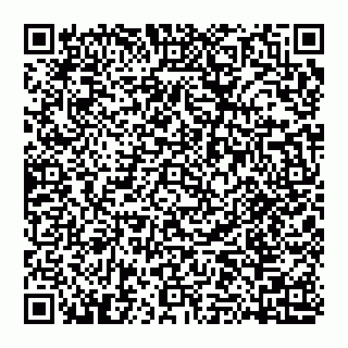 vCard 74951401581