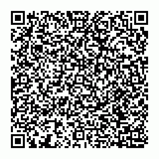 vCard 74951401585
