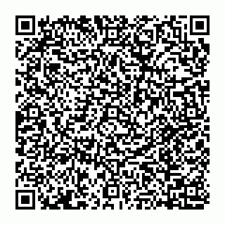 vCard 74951401593
