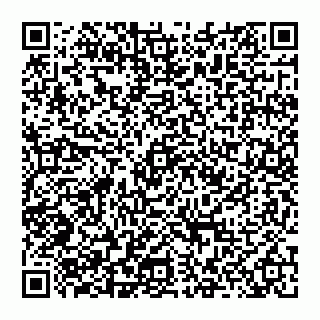 vCard 74951401594
