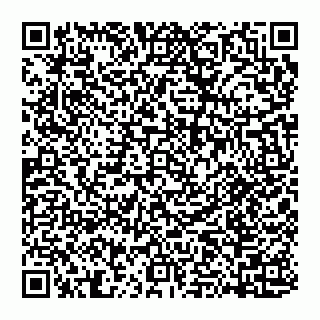 vCard 74951401611
