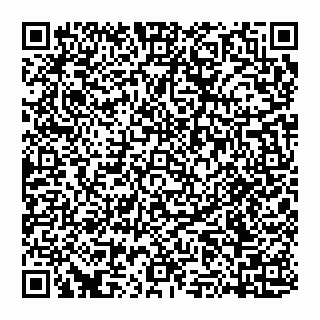 vCard 74951401617