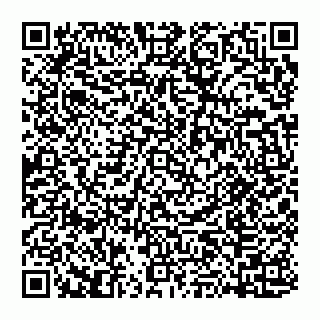 vCard 74951401629