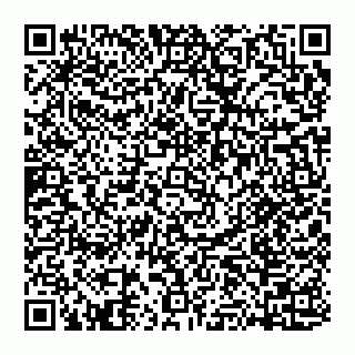 vCard 74951401631