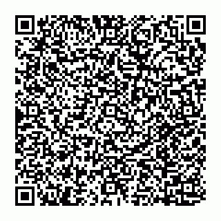 vCard 74951401633
