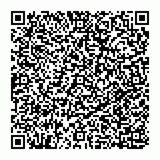 vCard 74951401713