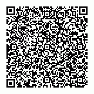 vCard 74951401727