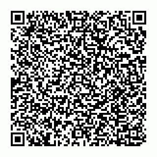 vCard 74951401729