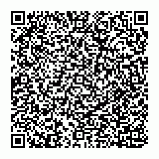 vCard 74951401730