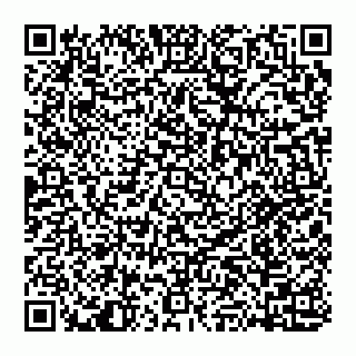 vCard 74951401733