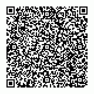 vCard 74951401735
