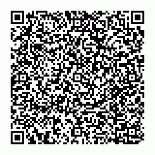 vCard 74951401743